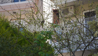 gineka-apili-na-pesi-4 gineka-apili-na-pesi-4