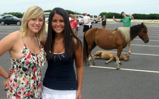 photobomb6