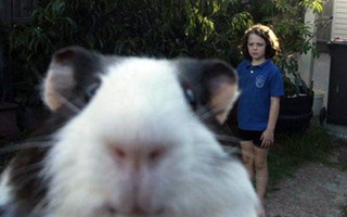 photobomb8
