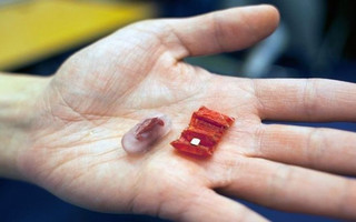 Ingestible-origami-robot