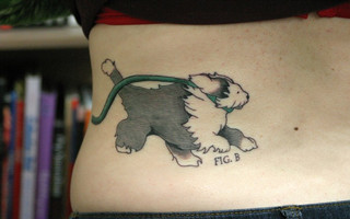 dogttoo9