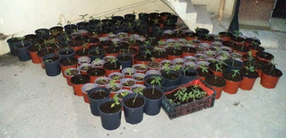 glastrakia-kanavi-2 glastrakia-kanavi-2