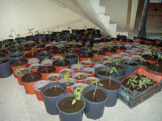 glastrakia-kanavi-3 glastrakia-kanavi-3