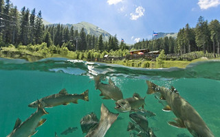 lake5