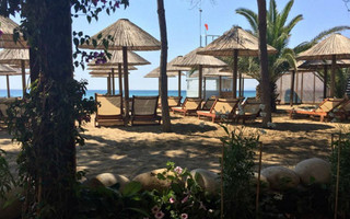 moraitis_edited