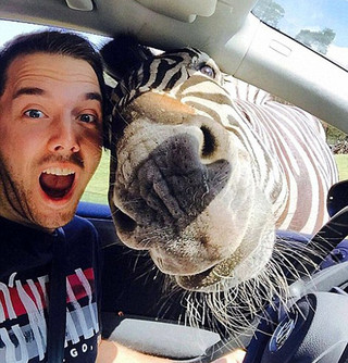 photobomb11
