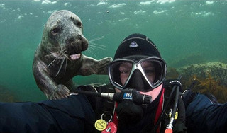 photobomb15