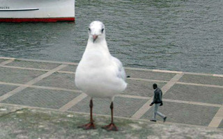 weird3