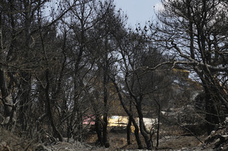 ΔΕΡΒΕΝΟΧΩΡΙΑ ΦΩΤΙΑ ΚΑΝΑΝΤΕΡ