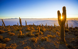 Bolivian3