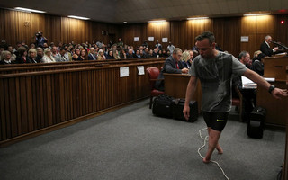 SAFRICA_PISTORIUS4