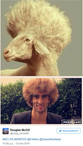 felaini8