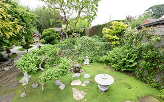 garden11