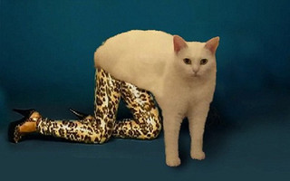 gata5