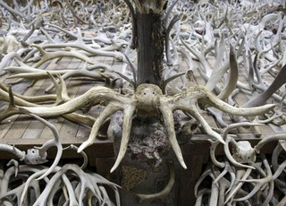 horns9