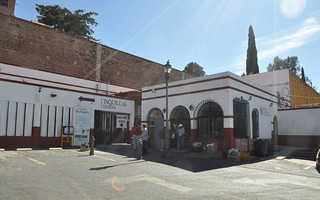 museomomia4