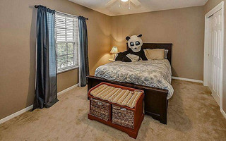 panda15
