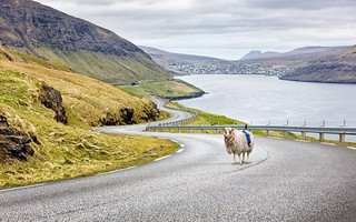 Faroe1