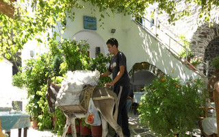 KORONOS_2