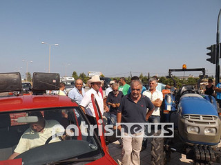 agrotes2