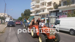 agrotes3