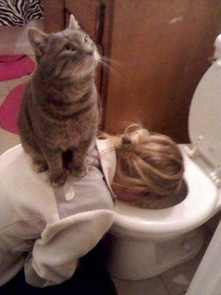 funny-fun-lol-drunk-girls-in-toilet-pics-images-photos-pictures-bajiroo-6