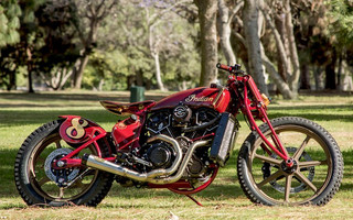 indian4