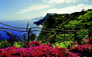 madeira2