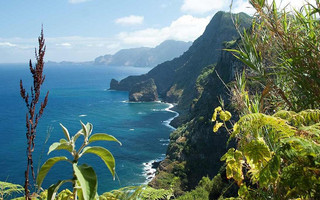 madeira3