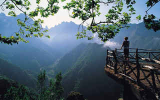 madeira4
