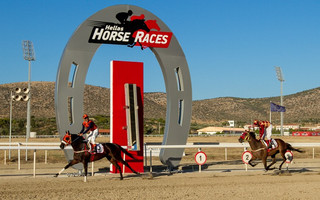 opap-horses-12 opap-horses-12