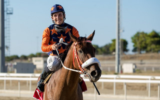 opap-horses-3