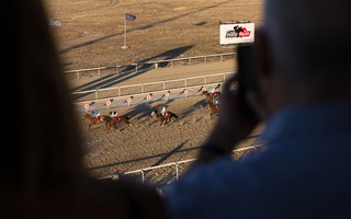 opap-horses-6