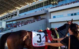 opap-horses-9 opap-horses-9