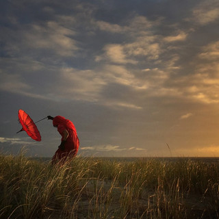 Φωτογραφία του Robin Roberts από το Carlsbad των ΗΠΑ, με τίτλο «Σκύβοντας με τον άνεμο», 2η θέση, Φωτογράφος της Χρονιάς