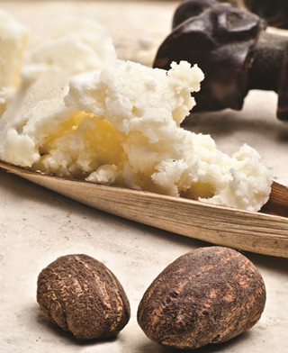 sheabutter2