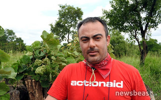 tasos