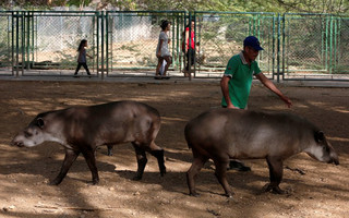 venezuela_zoo10