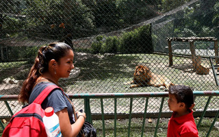 venezuela_zoo16