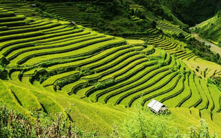 vietnam4