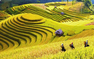 vietnam7