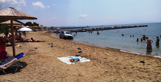 ΑΝΑΥΡΟΣ-ΑΥΤΟΚΙΝΗΤΟ ΑΝΑΥΡΟΣ-ΑΥΤΟΚΙΝΗΤΟ