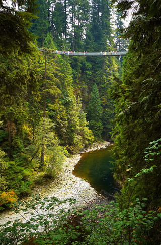 Capilano2