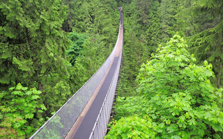 Capilano3