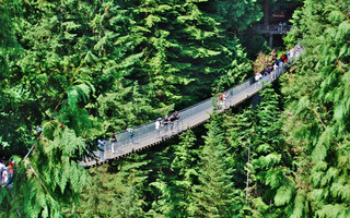 Capilano4