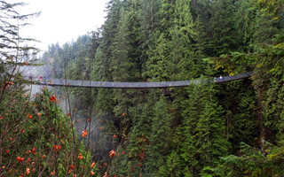 Capilano6