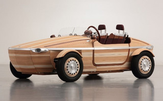 amaxia1 amaxia1
