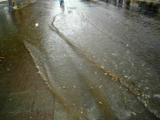 dentro5