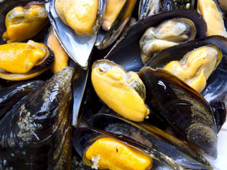 mussels