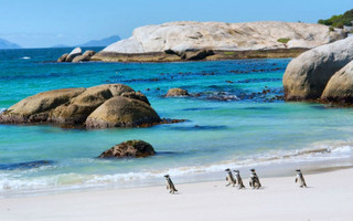 paralia-boulders-beach